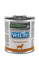 Farmina Vet Life (Фармина Вет Лайф) Natural Diet Dog Convalescence влажный лечебный корм для собак 300 г