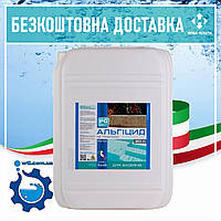 Альгицид против водорослей и зелени в бассейне 20л (Италия) PG 43