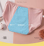 Труси для критичних днів жіночі, фото 6