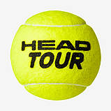 Нові м'ячі Head TOUR для великого тенісу 4 м'ячі в банці, фото 3