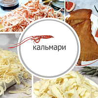 Кальмари 