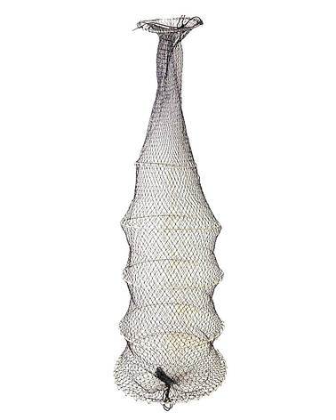 Садок на 5 кілець, фото 1