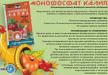 Калій монофосфат 1 кг, фото 4