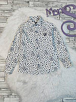 Детская рубашка Breeze для мальчика с длинным рукавом белая с синими звёздами Размер 104