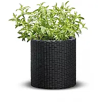 Горщик для квітів (кашпо) Keter (Кетер) Cylinder Planter M (17197835) Антрацит