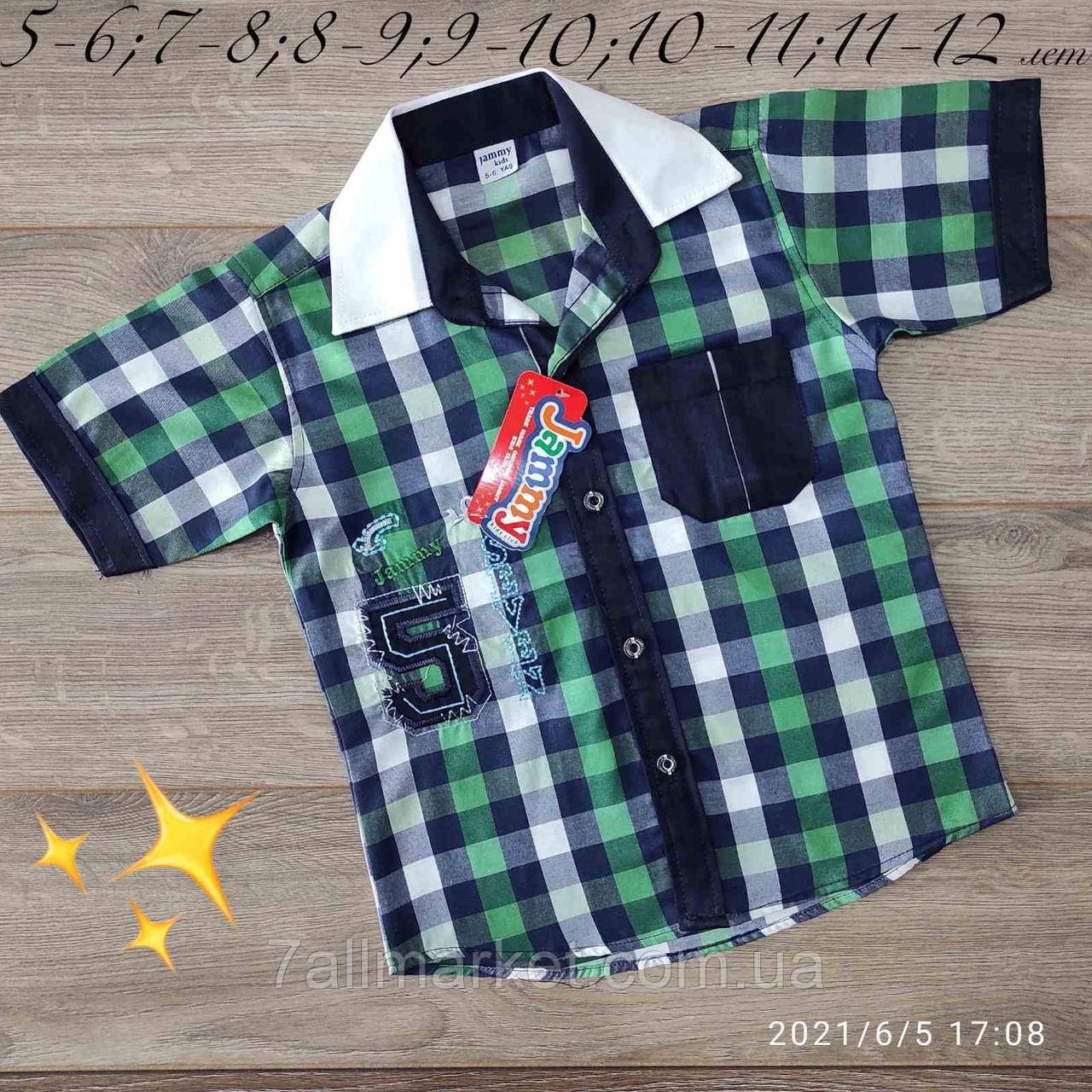 Сорочка дитяча з коротким рукавом у карту на хлопчика 5-11 років "MANGO" купити недорого від прямого постачальника
