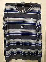 Батник чоловічий БАТАЛ (56-60) купити гуртом від складу 7 км Одеса