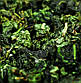 Те Гуань Інь 2023 року, 500 г у жестній банці, молодий улун Цін Сян, необсмажений улун з Аньсі, зелений чай, фото 4