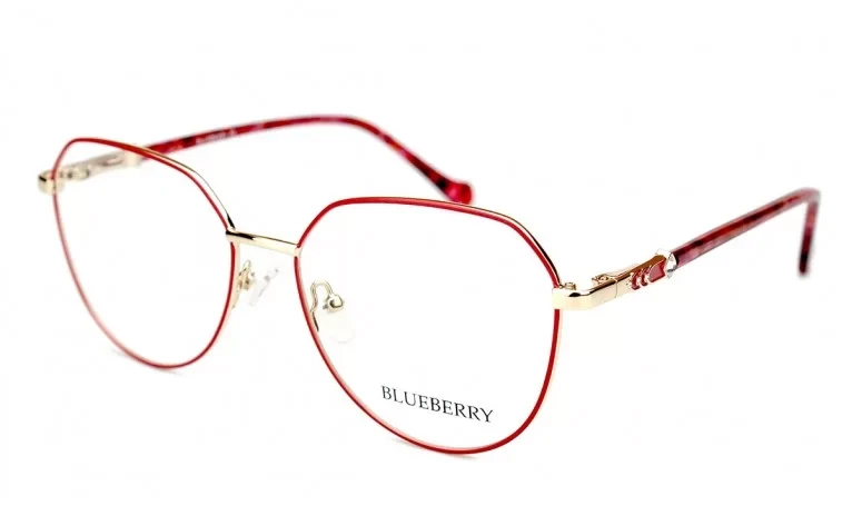 Оправа Blueberry XC62163-C2, фото 1