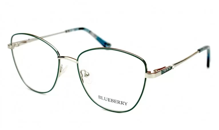 Оправа Blueberry XC62160-C5, фото 1