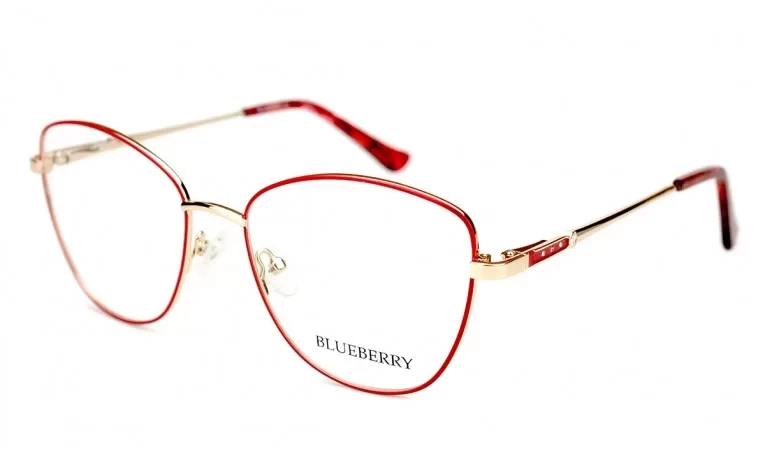 Оправа Blueberry XC62160-C2, фото 1