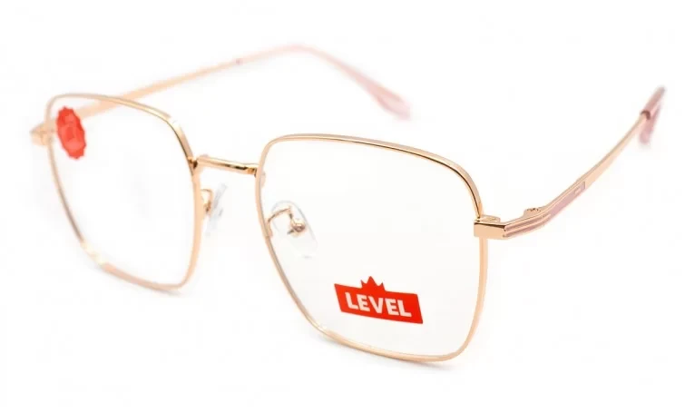 72738-C6 Level
