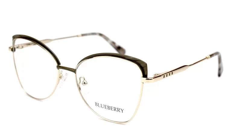 Оправа Blueberry TL3632-C2, фото 1