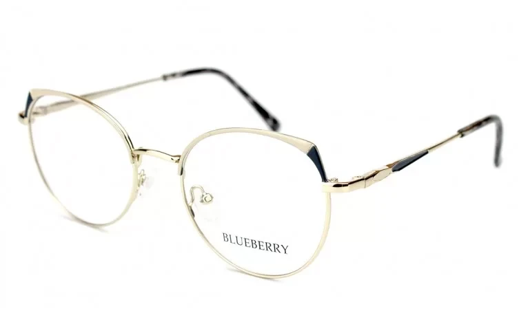 Оправа Blueberry GK1125-C6, фото 1