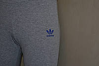 Модні короткі adidas.