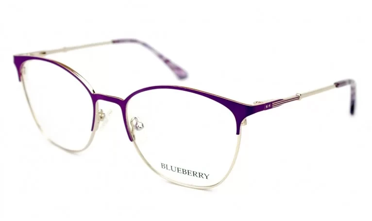 Оправа Blueberry XC62004-C3, фото 1