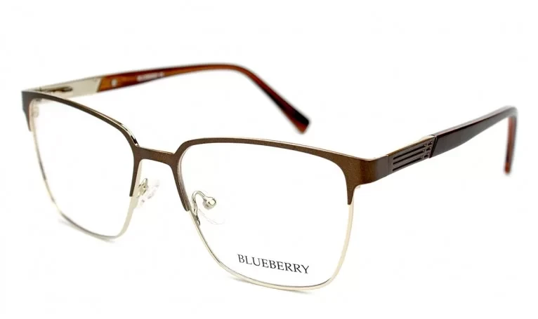 Оправа Blueberry XC61074-C4, фото 1