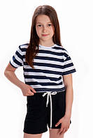 Комплект для девочек шорты с футболкой 146, синий чернильный-полосы