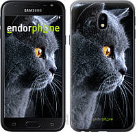 Панель Endorphone на Samsung Galaxy J3 2017 Красивый кот 3038t-650-26985 MD, код: 1390771