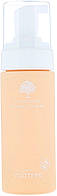 Пенка для умывания Rootree Cryptherapy Purifying Cleanser 150ml (897672)