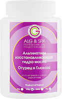 Альгинатная восстанавливающая гидромаска Огурец + Глюкоза - ALG & SPA Professional Line Collection Masks Peel