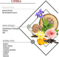 Свеча парфюмированная "Cipria" - Hypno Casa Candle Perfumed (970096)