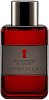 Antonio Banderas The Secret Temptation (712560)