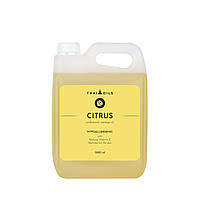 Професійне кокосове масажне масло «Citrus» 3000 ml