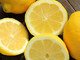Ефірна олія лимону 25 мл, фото 2