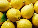 Ефірна олія лимону 25 мл, фото 3