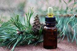 Ефірна олія ялиці 25 мл
