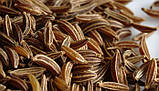 Ефірна олія кмину 1.0 кг (1090 мл), фото 2