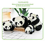 Мила плюшева іграшка Панда. Національний скарб Panda, фото 9