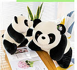 Мила плюшева іграшка Панда. Національний скарб Panda, фото 7