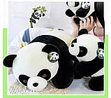 Мила плюшева іграшка Панда. Національний скарб Panda, фото 4