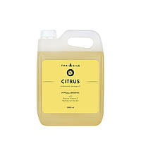 Профессиональное кокосовое массажное масло «Citrus» 3000 ml