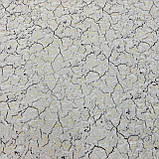 Шпалери вінілові Слов'янські шпалери на паперовій основі бежеві B40,4 Імперія 3  0,53 х 15м (5550-05), фото 6