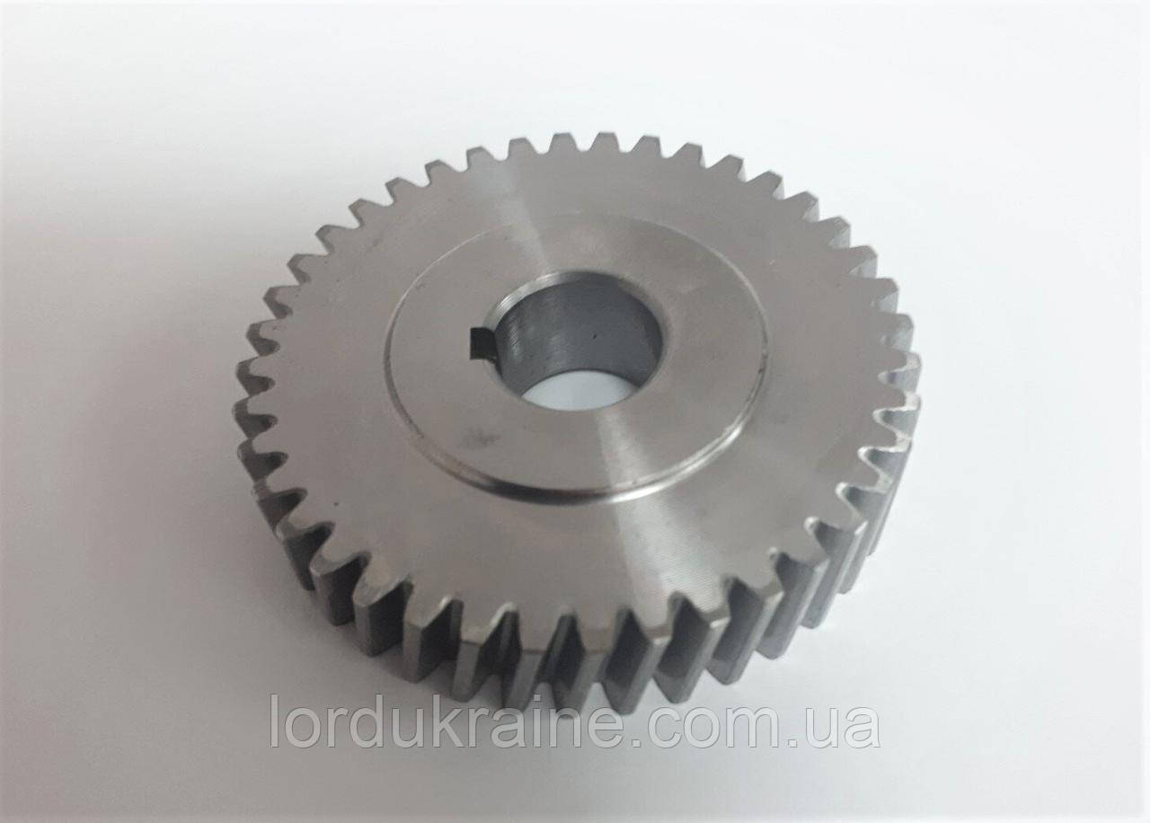 Шестерня MF2107 для м'ясорубки TC12 / 22 Е Sirman (Сірман), фото 1