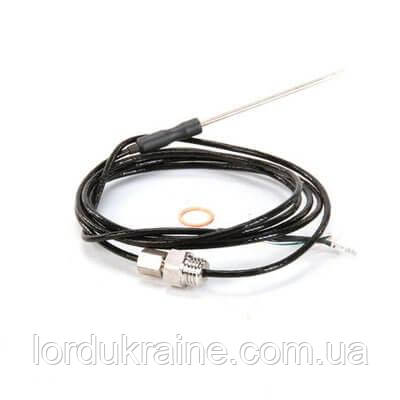 Температурний зонд (щуп) 40.02.100Р для печей Rational SelfCooking Center 201, фото 1