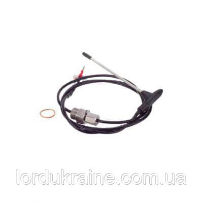 Температурний зонд (щуп) 40.05.254Р для печей Rational SelfCooking Center XS, фото 1