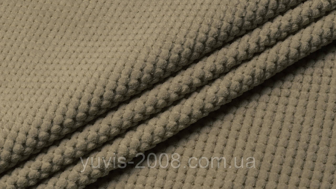 Доріс 22