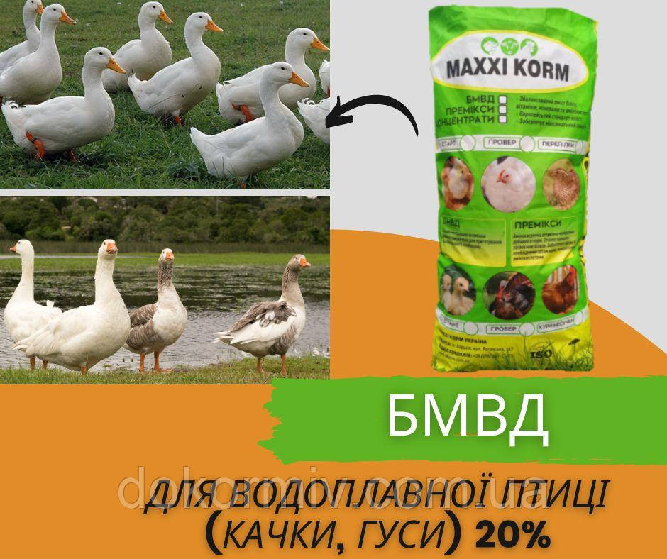 БМВД для качок та гусей 20%