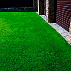 Газонна трава Ліліпут насіння Green Home 1 кг, фото 3