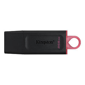 Kingston Накопичувач 256GB USB 3.2 Type-A Gen1 DT Exodia