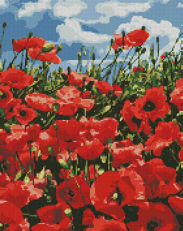 Алмазна мозаїка AMO7056 Дивовижні маки, 40x50см Ideyka на підрамнику, фото 1