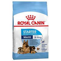 Сухий корм для собак ROYAL CANIN Maxi Starter Mother & Babydog - 15кг