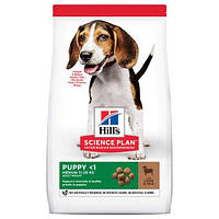 Сухий корм для собак Hill's Science Plan Puppy Medium Lamb & Rice - 14кг