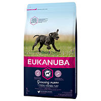 Сухий корм для собак EUKANUBA Puppy & Junior Large Breed - 15кг