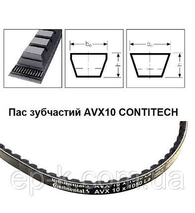 Пас зубчастий AVX10 CONTITECH SYNCHROFLEX, фото 1