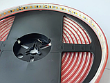 Світлодіодна стрічка COLORS, 24V, 120 led/m, 8.8W, 809Lm, IP67, 3000K (DJ120-24V-8mm-IP67-WW), фото 2